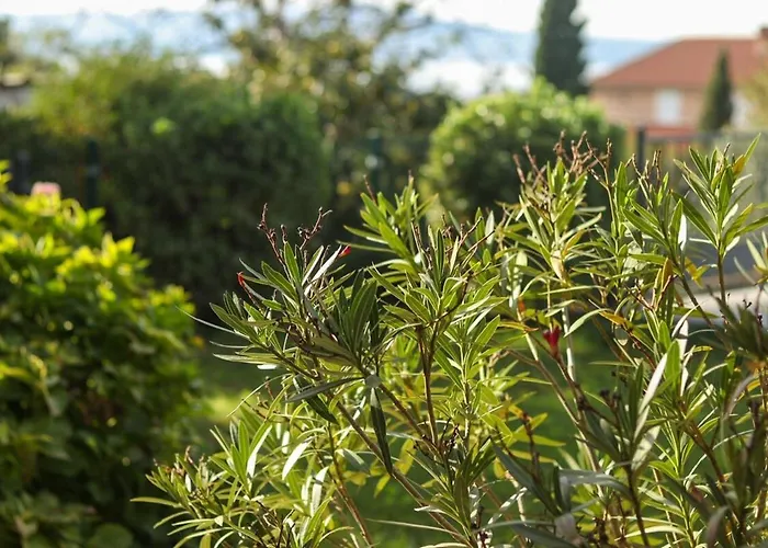 Apartmán Paradise Garden *