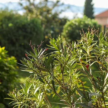 Appartement Paradise Garden *