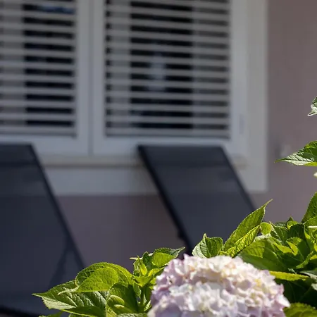 Paradise Garden Διαμέρισμα Crikvenica