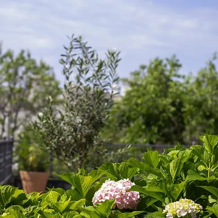 Διαμέρισμα Paradise Garden