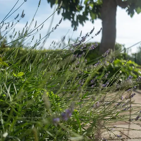 Paradise Garden Διαμέρισμα Crikvenica